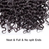 FRONTALS